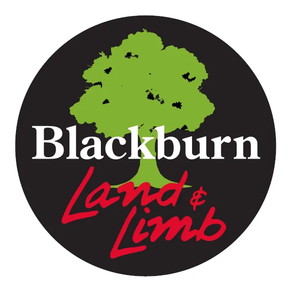 Reliable landscaping services in Winston-salem, NC - Blackburn Land & Limb