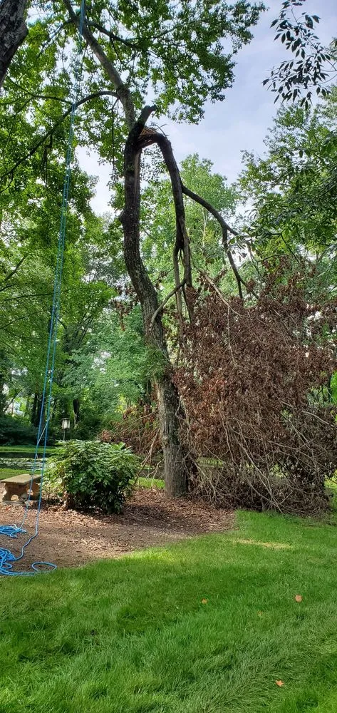 Custom yard maintenance for outdoor upgrades in Winston-salem, NC by Blackburn Land & Limb