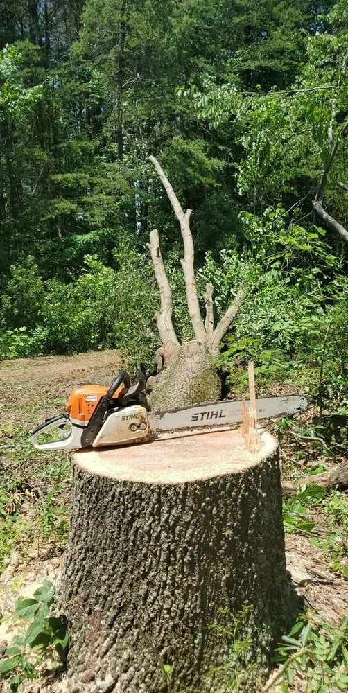Reliable landscaping services near you across Winston-salem, NC - Blackburn Land & Limb