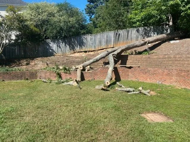 Custom landscaping services near you across Winston-salem, NC - Blackburn Land & Limb