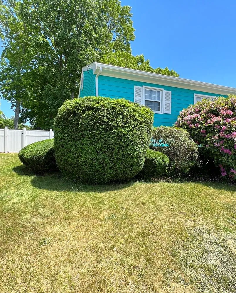 Reliable lawn care service for beautiful yards in Randolph, MA by Blackburn Lawn Care