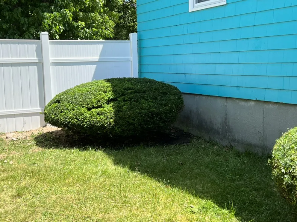 Reliable landscape design for residential properties across Randolph, MA - Blackburn Lawn Care