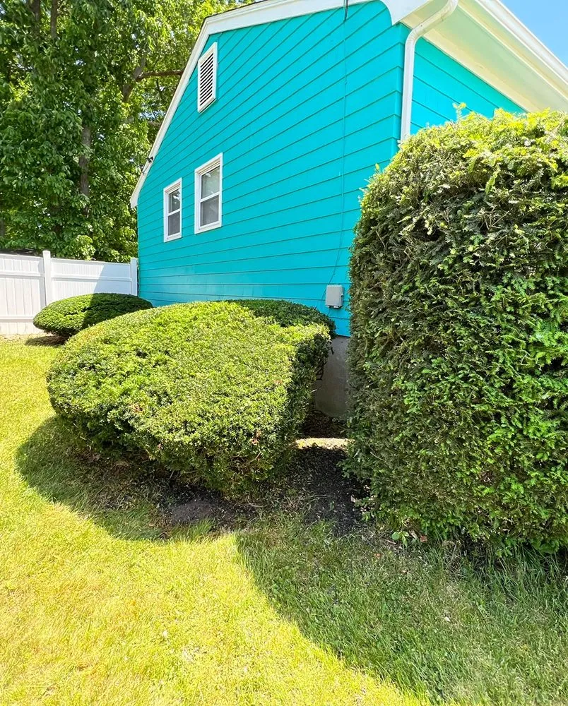 Reliable garden landscaping in Randolph, MA by Blackburn Lawn Care