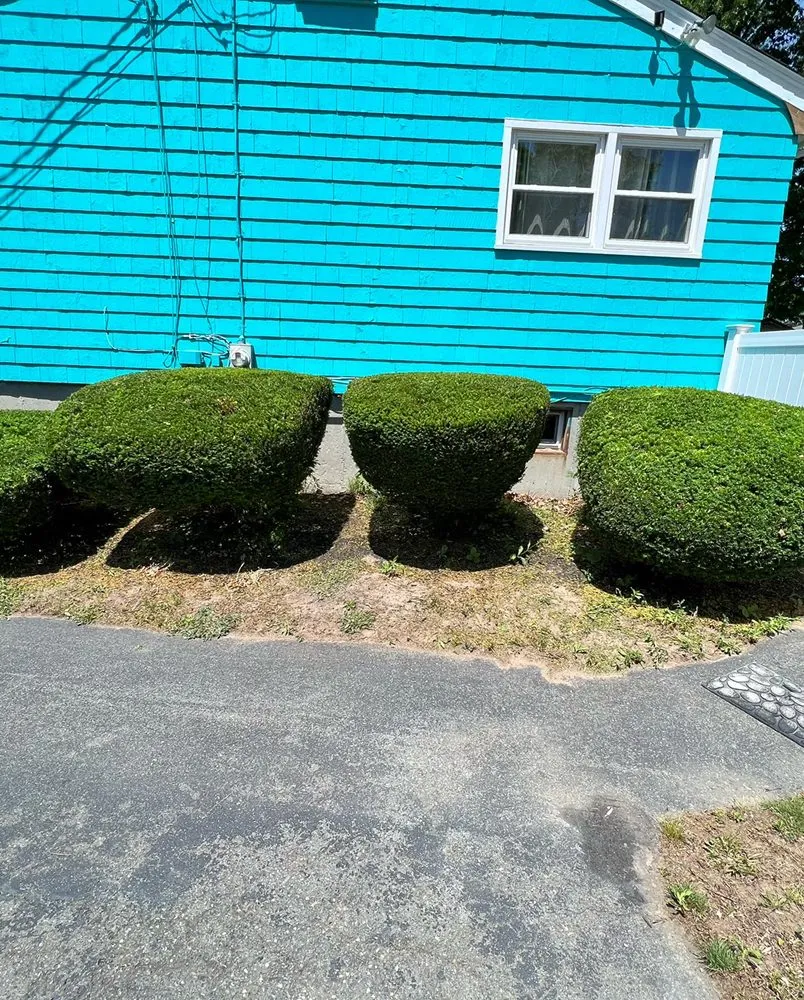 Professional yard maintenance for year-round maintenance in Randolph, MA by Blackburn Lawn Care