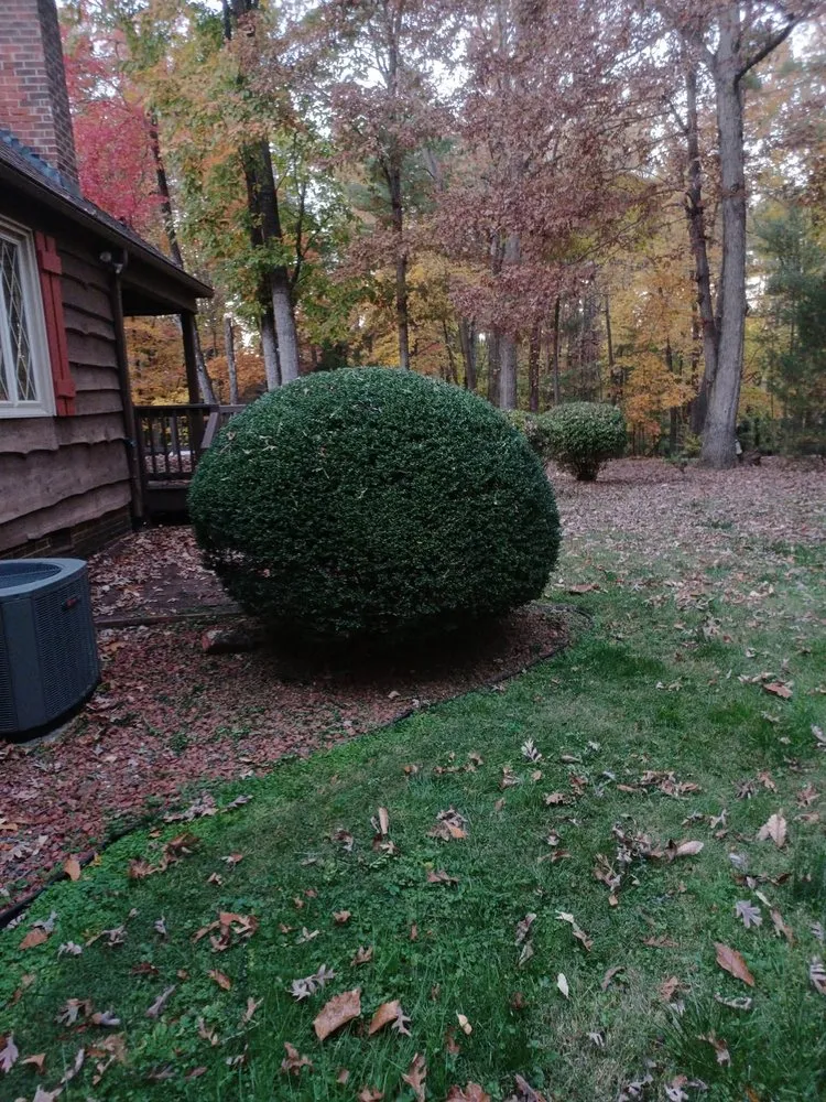 Local landscape installation in Elkin, NC - Blackburn Outdoors