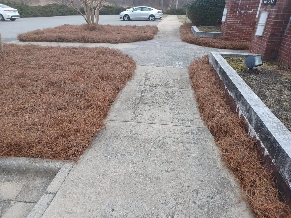 Expert lawn care service near you across Elkin, NC - Blackburn Outdoors