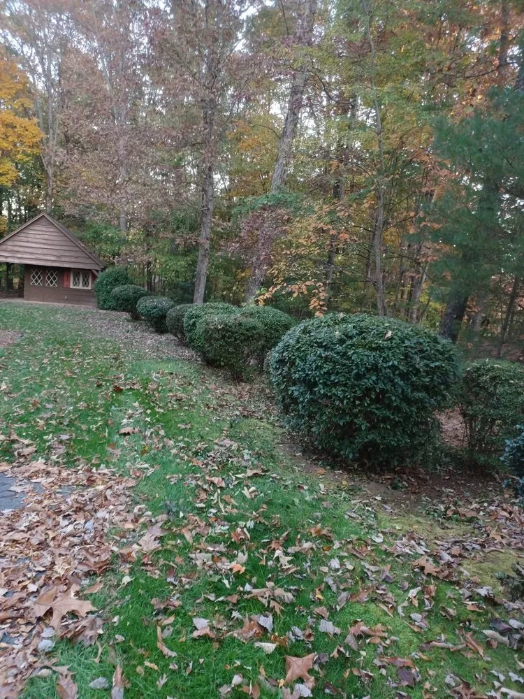 Expert lawn mowing service for outdoor upgrades across Elkin, NC - Blackburn Outdoors