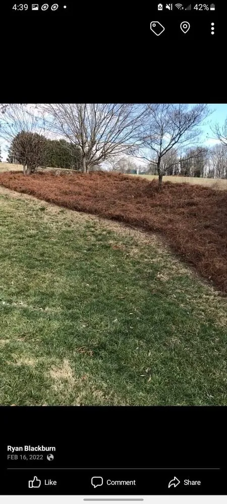 Professional residential landscaping in Elkin, NC - Blackburn Outdoors