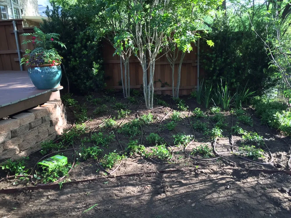 Expert yard cleanup service for outdoor upgrades across Plano, TX - Blackburn Sprinkler company