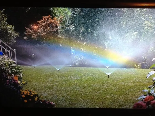 Affordable lawn care service in Plano, TX - Blackburn Sprinkler company