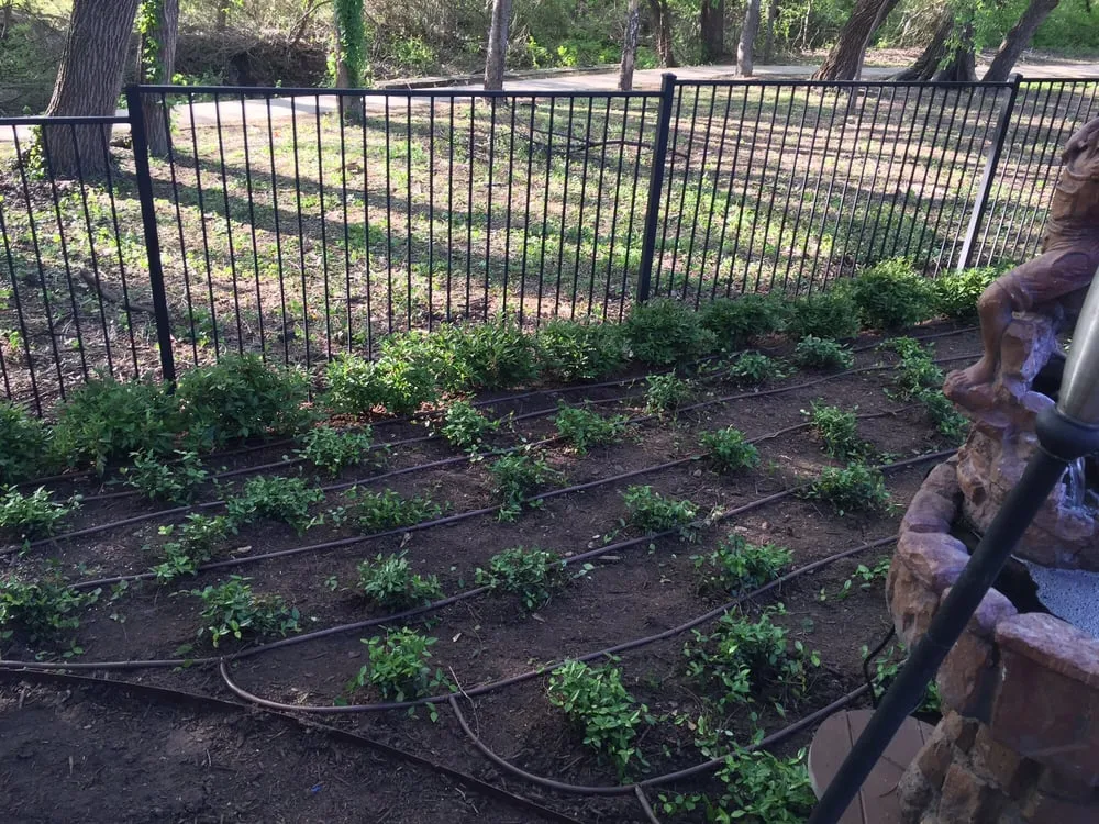 Professional garden landscaping experts serving Plano, TX - Blackburn Sprinkler company