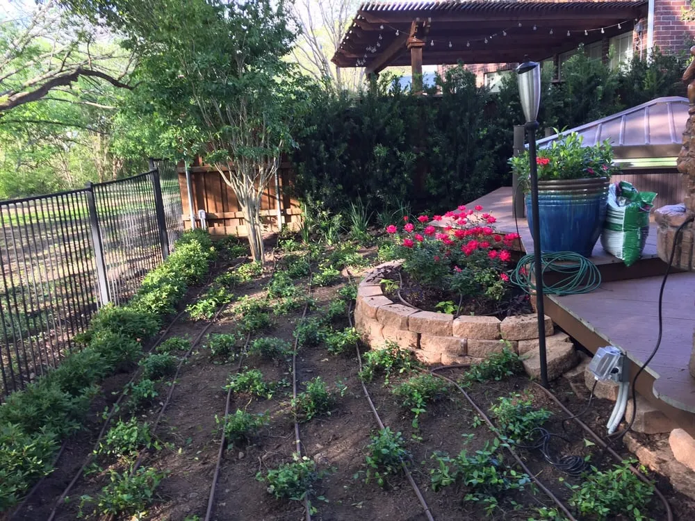 Expert landscape installation for year-round maintenance in Plano, TX by Blackburn Sprinkler company