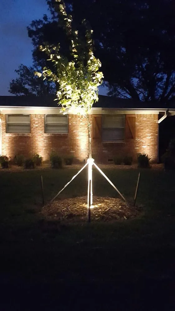 Custom landscaping services in Plano, TX by Blackburn Sprinkler company