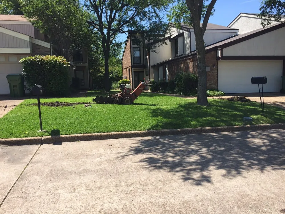 Reliable landscape design for year-round maintenance in Plano, TX by Blackburn Sprinkler company