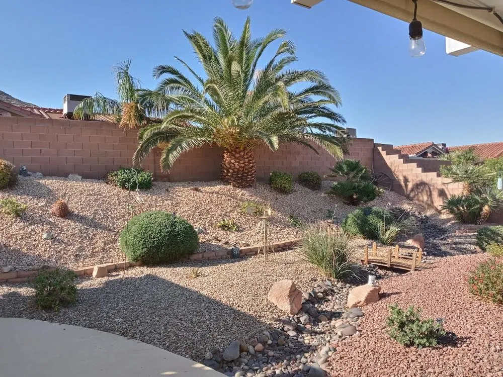 Trusted yard cleanup service experts serving Henderson, NV - Blackburn's Landscaping And Lawn Services