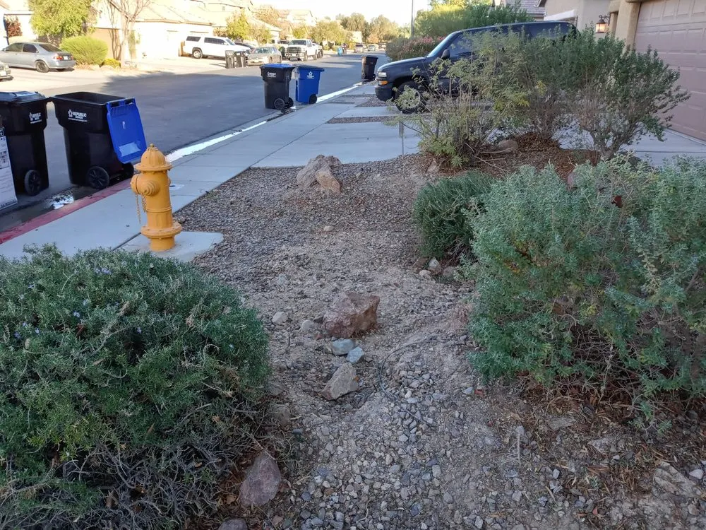 Top-rated landscape installation in Henderson, NV - Blackburn's Landscaping And Lawn Services