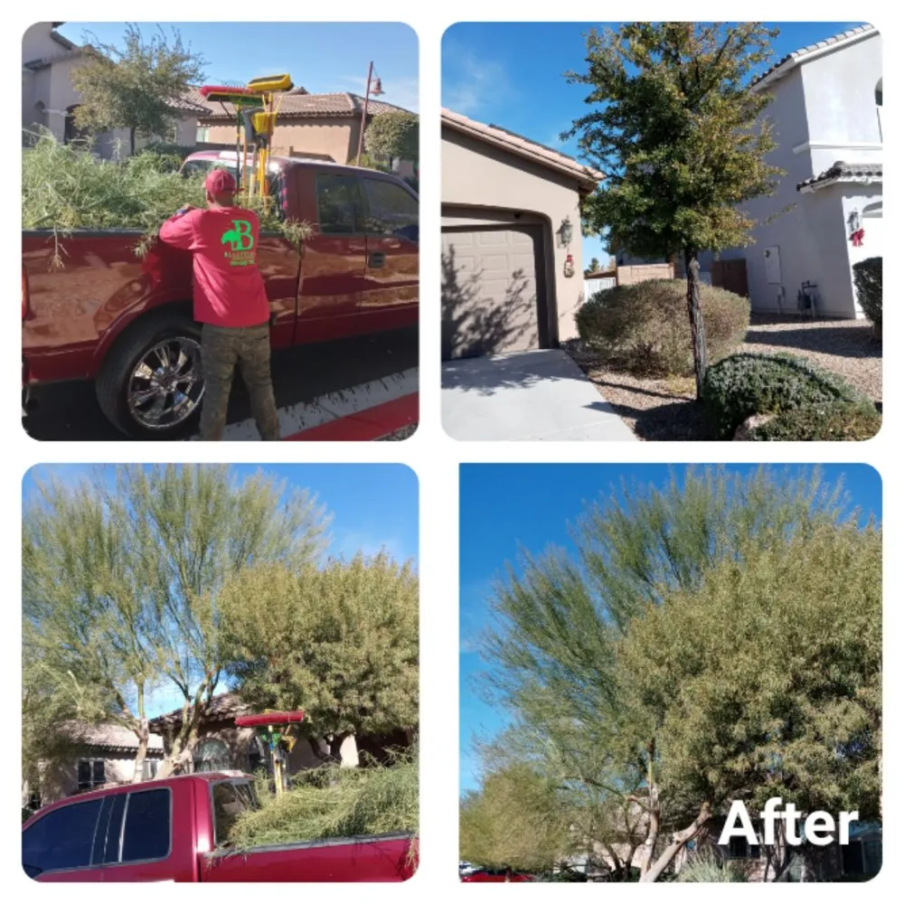 Top-rated landscape design for residential properties in Henderson, NV by Blackburn's Landscaping And Lawn Services