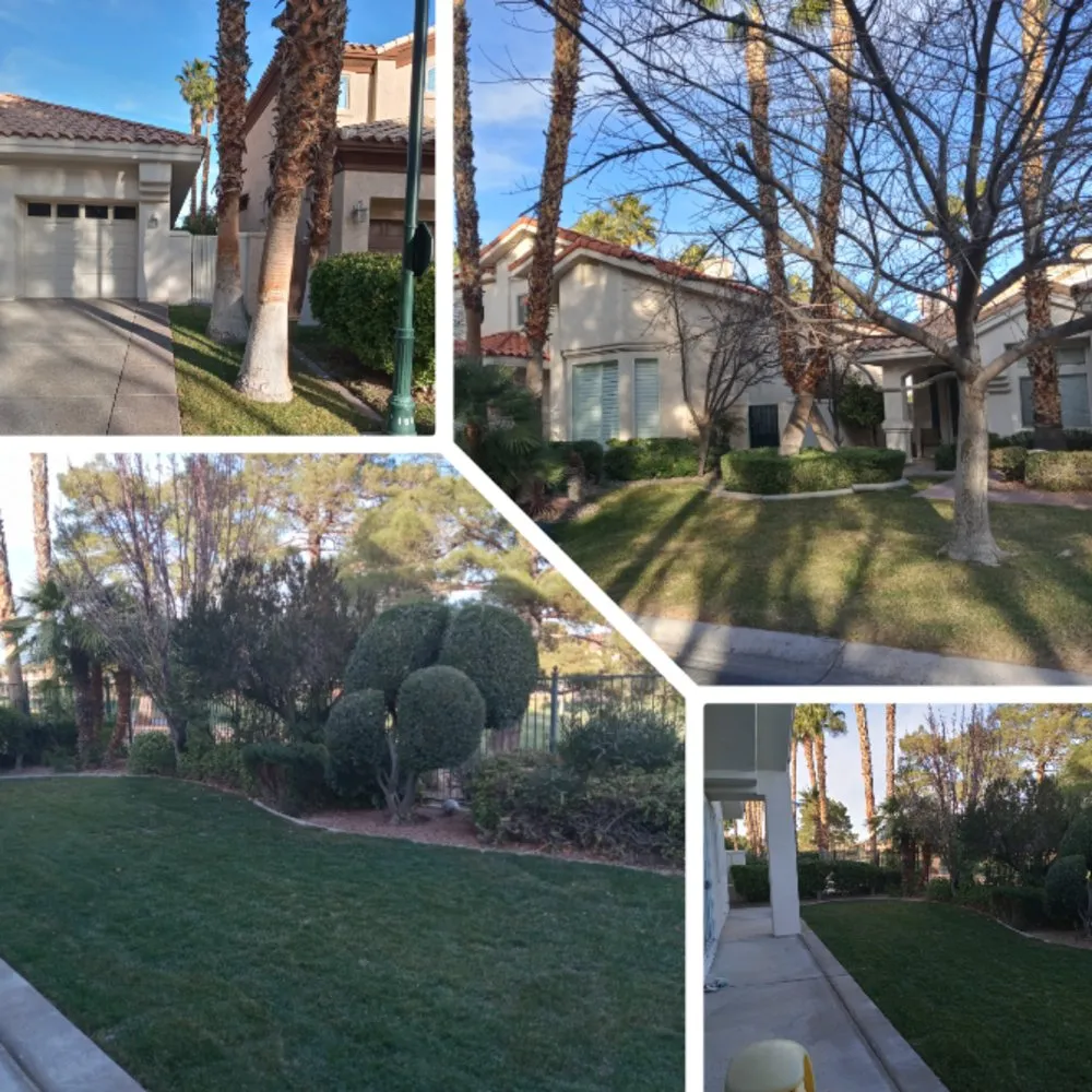 Affordable yard maintenance in Henderson, NV by Blackburn's Landscaping And Lawn Services