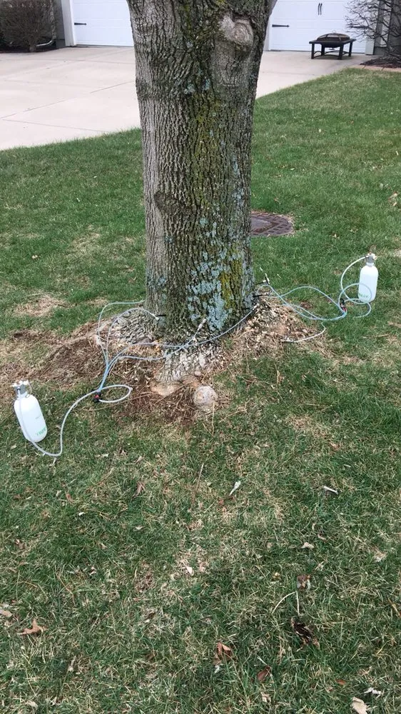 Top-rated yard maintenance with custom design across Lee's Summit, MO - Blackburn's Lawn & Landscaping