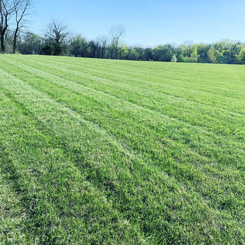 Trusted yard maintenance for outdoor upgrades in Lee's Summit, MO by Blackburn's Lawn & Landscaping