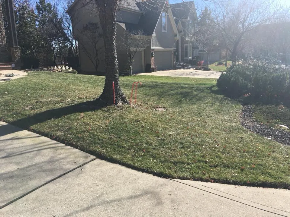 Custom landscape installation in Lee's Summit, MO by Blackburn's Lawn & Landscaping