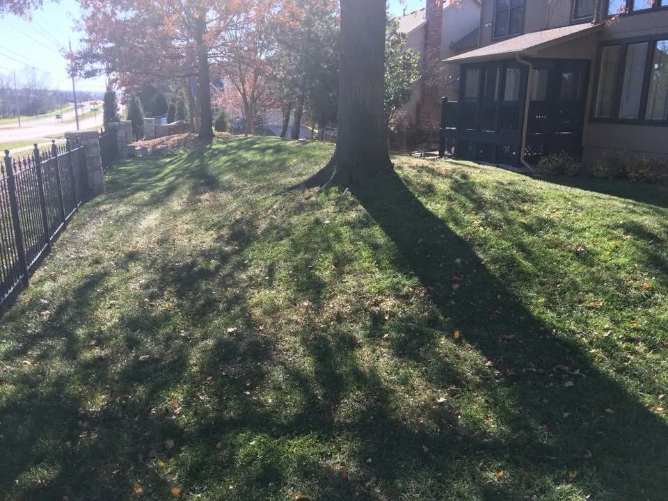 Professional landscape installation experts serving Lee's Summit, MO - Blackburn's Lawn & Landscaping