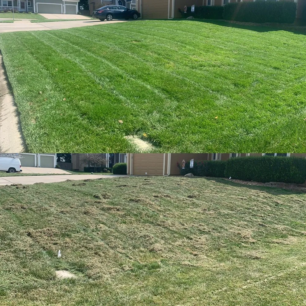 Affordable outdoor landscaping in Lee's Summit, MO by Blackburn's Lawn & Landscaping