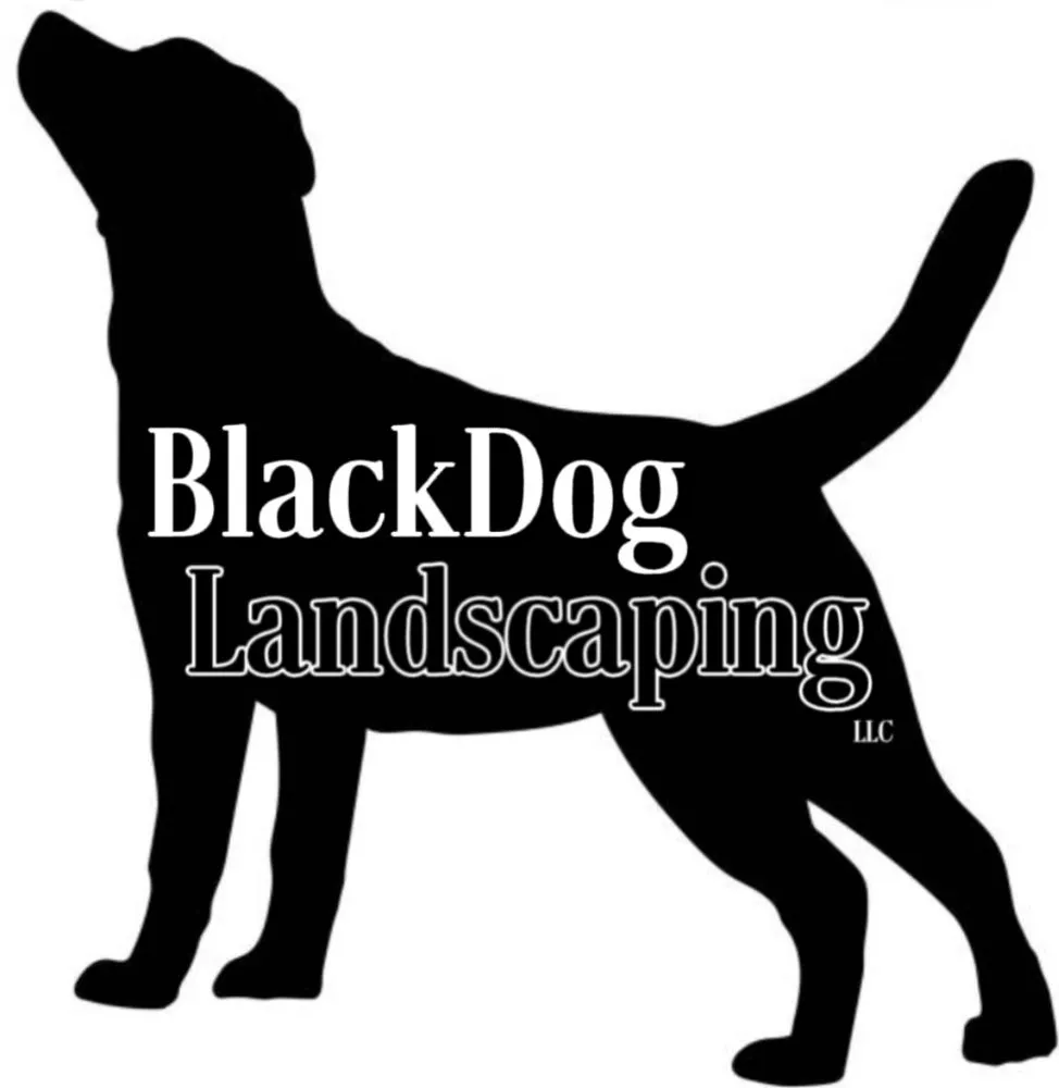 Custom landscaping services with custom design across San Antonio, TX - BlackDog Landscaping