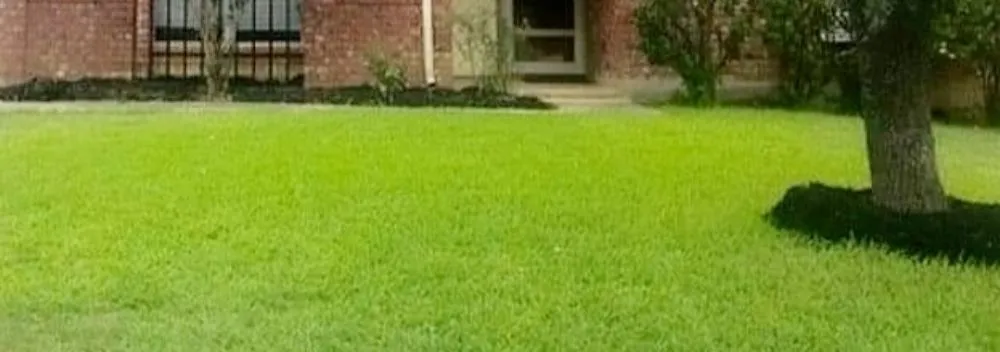 Custom yard cleanup service in San Antonio, TX - BlackDog Landscaping