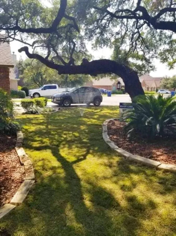 Expert lawn care service in San Antonio, TX - BlackDog Landscaping