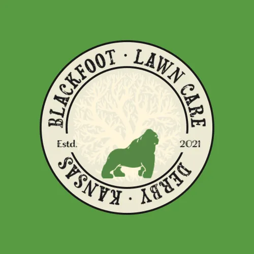 Top-rated yard cleanup service in Wichita, KS - BlackFoot Lawn Care