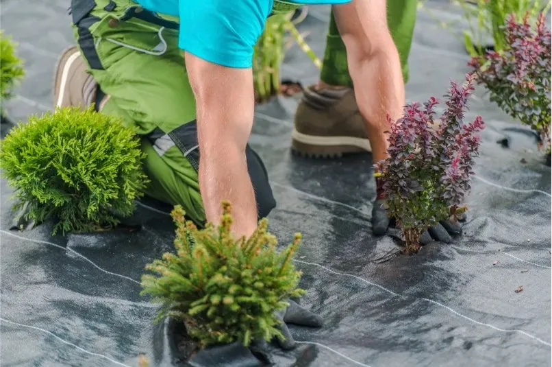 Reliable residential landscaping in La Luz, NM - Blackforest Landscaping