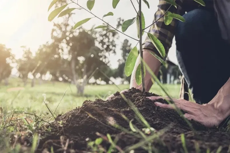 Professional residential landscaping for outdoor upgrades across La Luz, NM - Blackforest Landscaping
