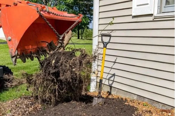 Trusted lawn care service near you across La Luz, NM - Blackforest Landscaping