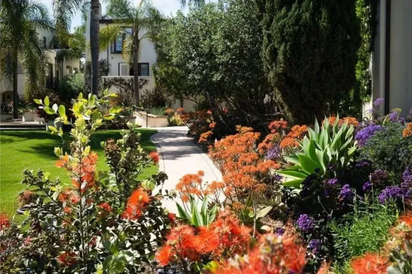 Trusted outdoor landscaping for beautiful yards in La Luz, NM by Blackforest Landscaping