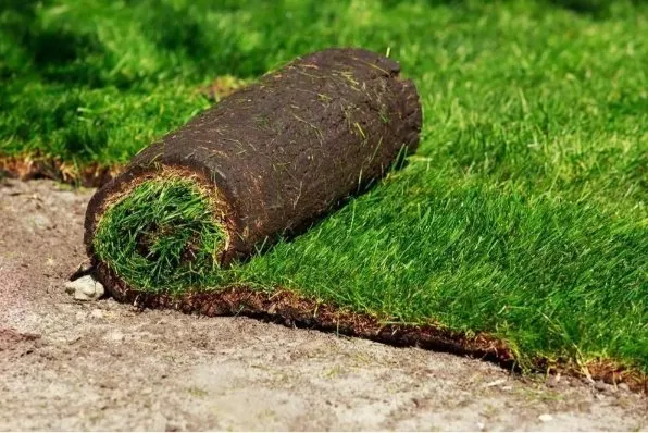 Trusted residential landscaping experts serving La Luz, NM - Blackforest Landscaping