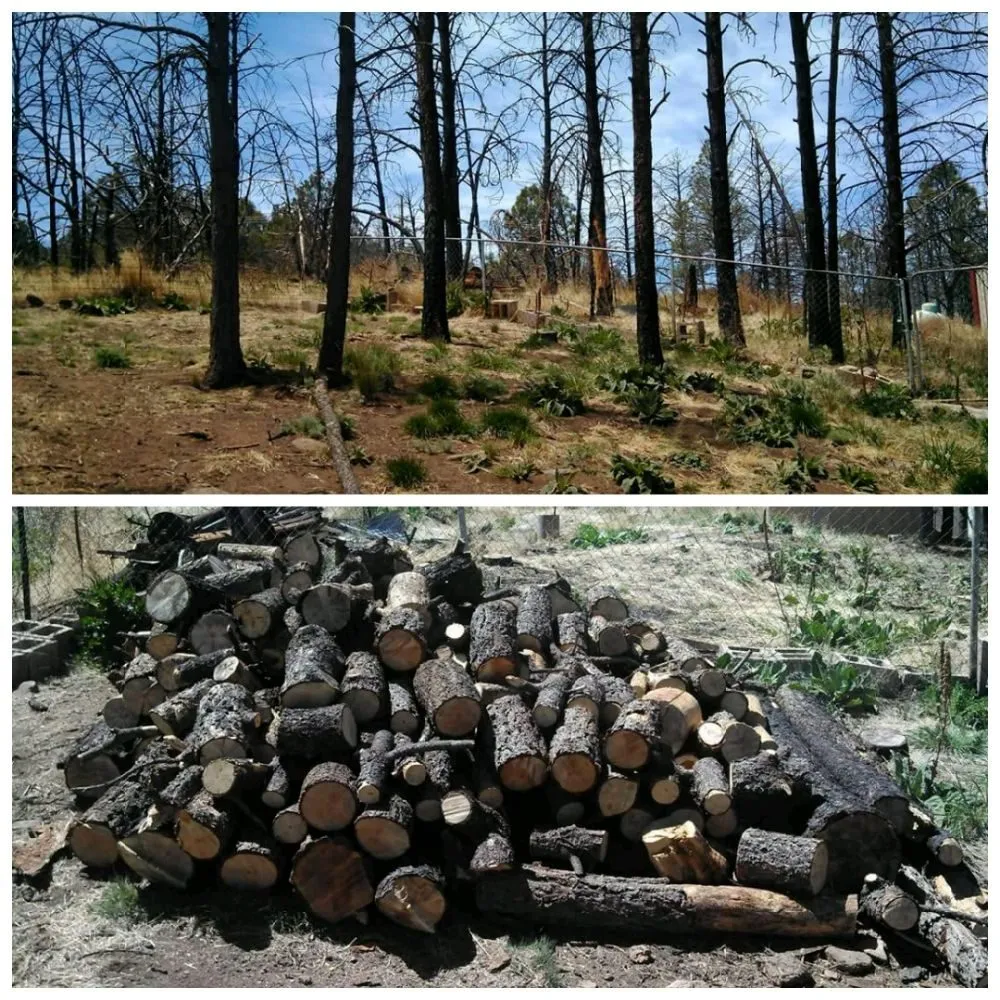 Top-rated landscape design experts serving La Luz, NM - Blackforest Landscaping