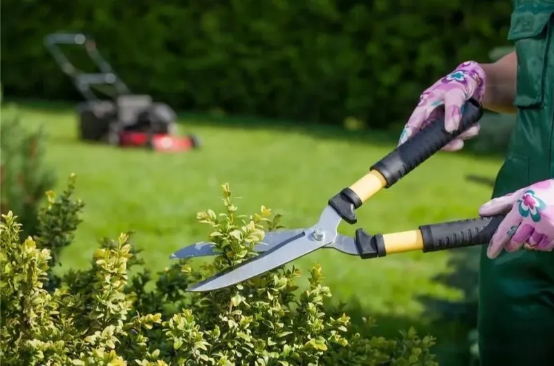 Trusted landscape design experts serving La Luz, NM - Blackforest Landscaping