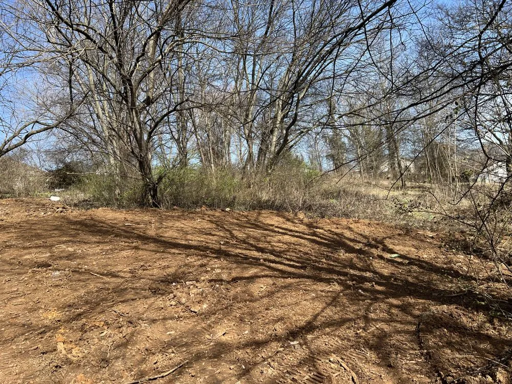 Professional yard cleanup service experts serving Knoxville, TN - BlackHorse Excavation