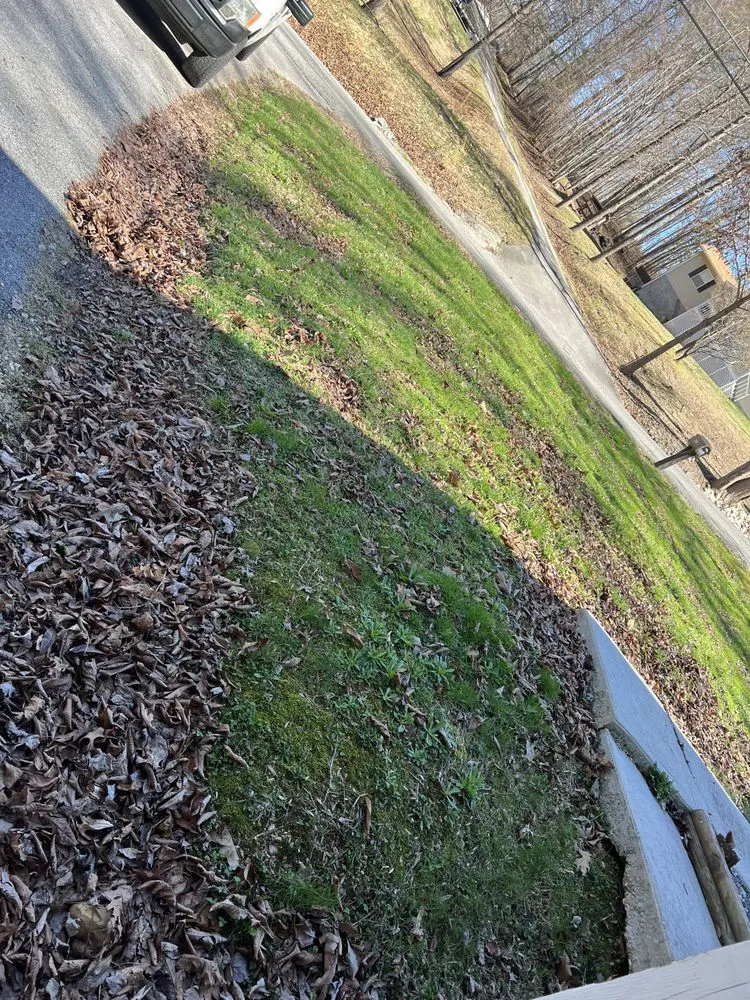 Affordable garden landscaping experts serving Knoxville, TN - BlackHorse Excavation