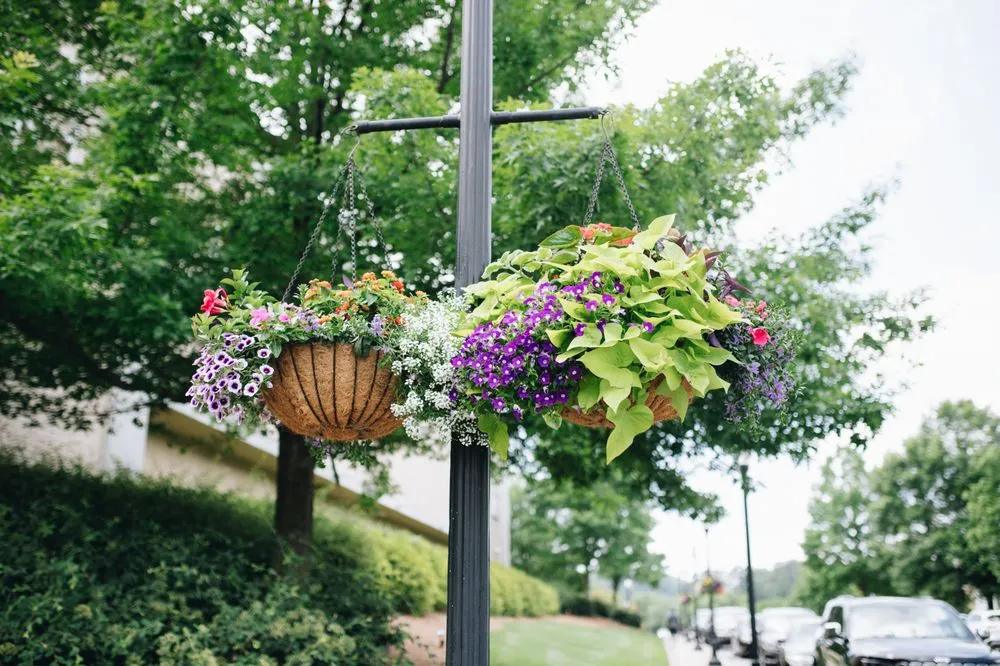 Top-rated yard maintenance in Birmingham, AL - Blackjack Horticulture