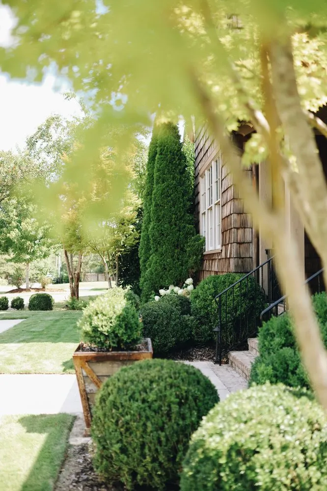 Reliable yard maintenance in Birmingham, AL - Blackjack Horticulture