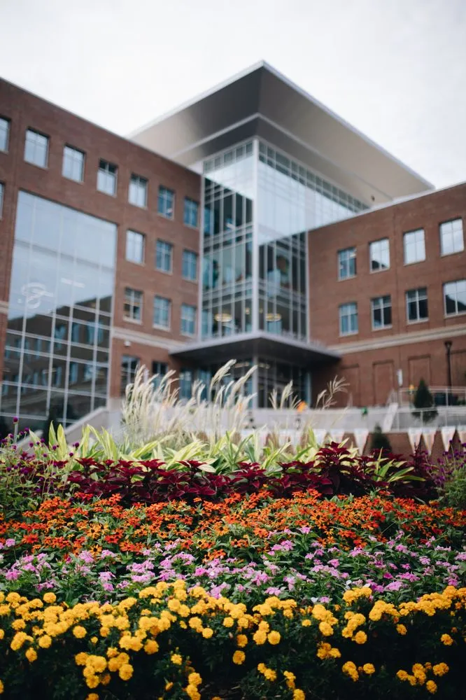 Custom landscape design in Birmingham, AL by Blackjack Horticulture