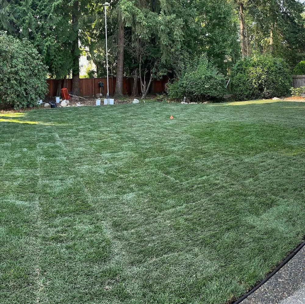 Custom landscape design in Austin, TX - Blackland Lawn Care