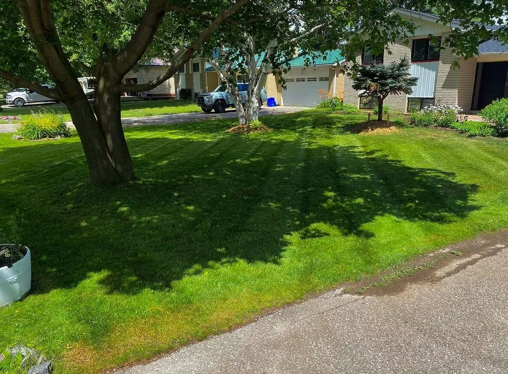 Local landscaping services in Austin, TX by Blackland Lawn Care