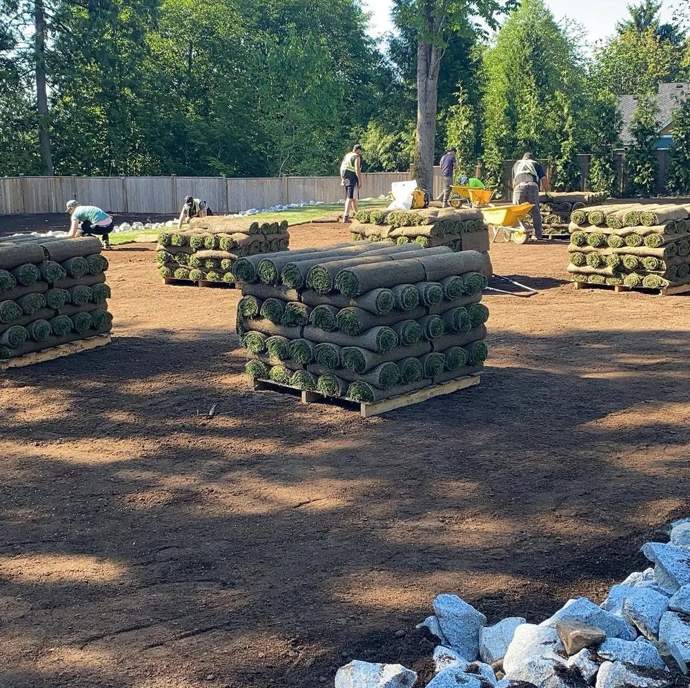 Local outdoor landscaping for year-round maintenance across Austin, TX - Blackland Lawn Care