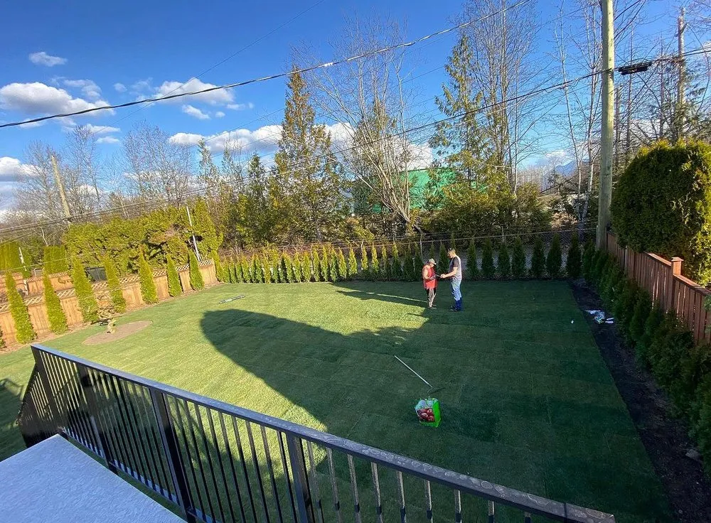 Trusted lawn care service near you across Austin, TX - Blackland Lawn Care