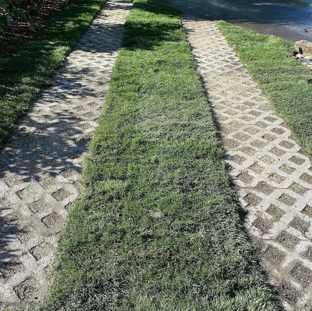 Local outdoor landscaping experts serving Austin, TX - Blackland Lawn Care