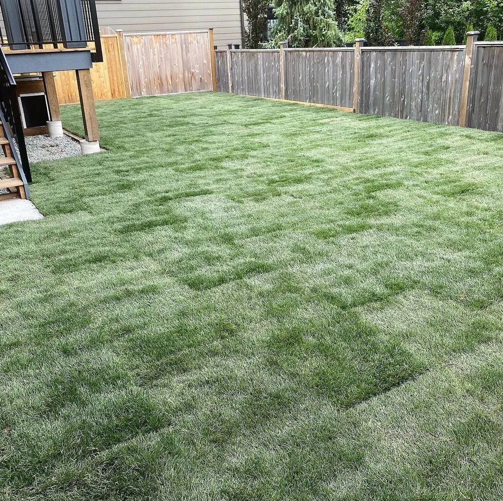 Custom lawn mowing service in Austin, TX by Blackland Lawn Care
