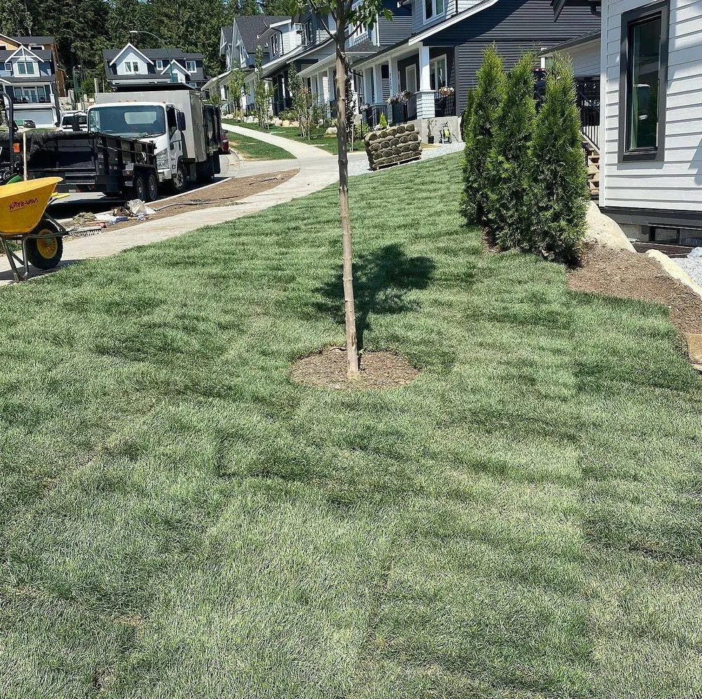 Expert yard maintenance experts serving Austin, TX - Blackland Lawn Care